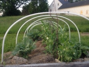 Spring Hoop House