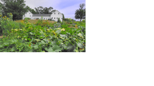 Courtesy of a Friend of Wagon Hill Farm